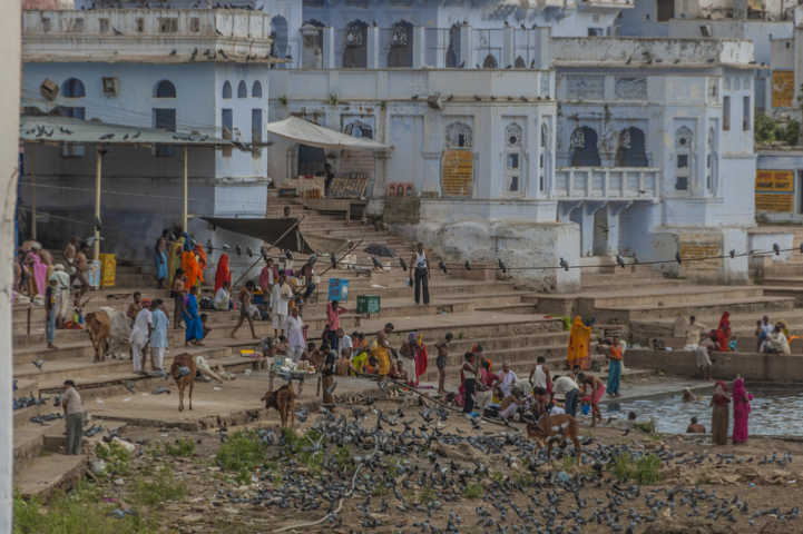 04 - India - Pushkar